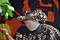 Karneval der Kulturen Strassenfest   053